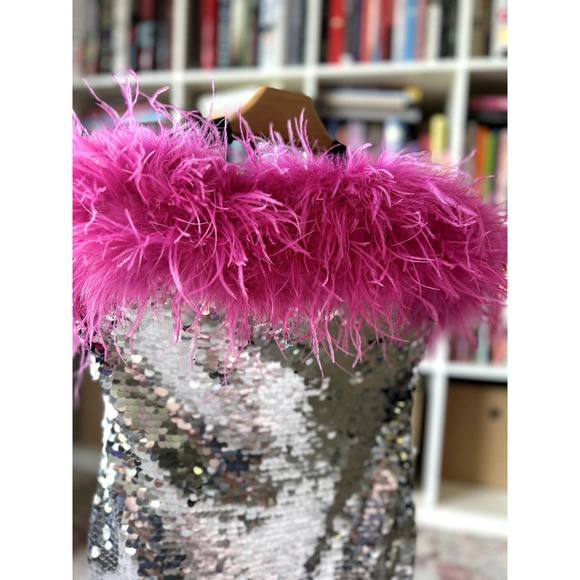 Silver Sequin Dress with Pink Feather Trim - Picture 2 of 6
